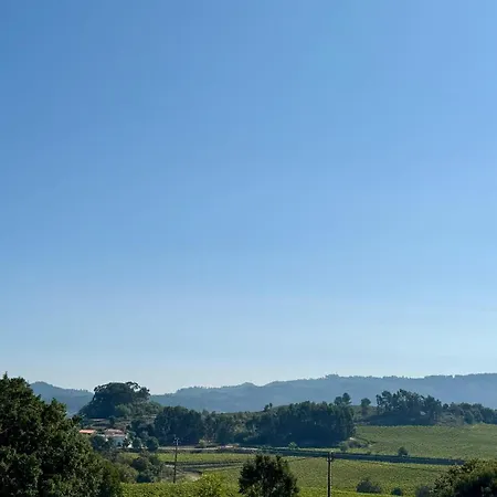 Гостевой дом Horizonte Da Vinha Санту-Тирсу