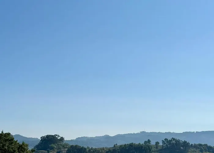 בית הארחה Horizonte Da Vinha סנטו טירסו