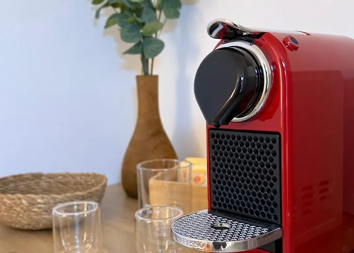 Horizonte Da Vinha בית הארחה 3*