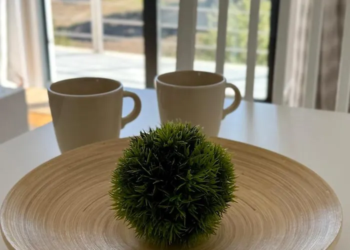 Pensionat Horizonte Da Vinha 3*